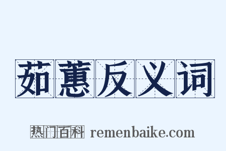 茹蕙反义词是什么意思的图片